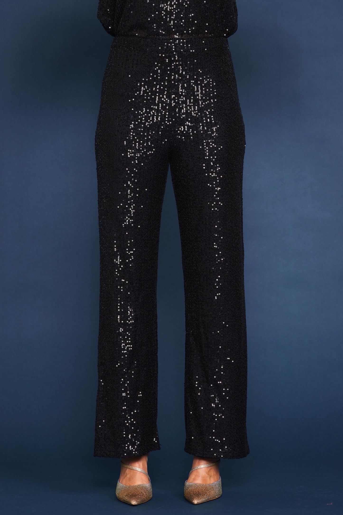 Sequin Pants (also in black)