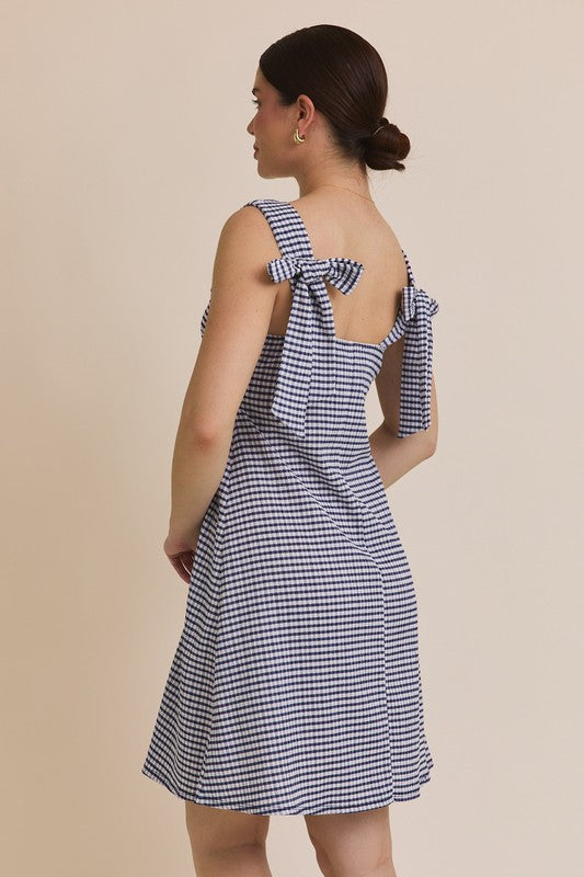 Navy and White Gingham Dress