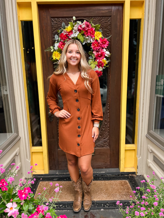 Long Sleeve Brown Button Dress